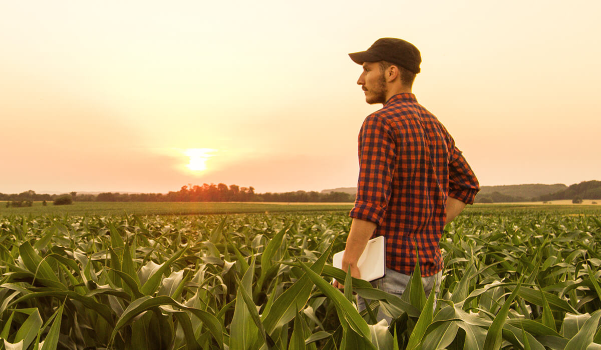 Agricultural Sector | Lussier