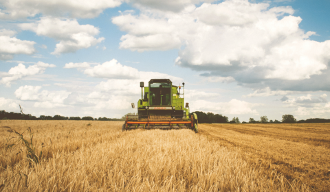 Farm tractor in agricultural field