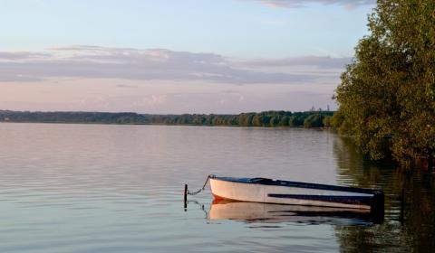 Boat in water by side of the lake