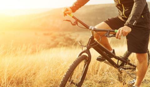 Bicycle in field