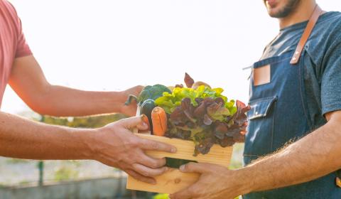 seasonal trade farmers market