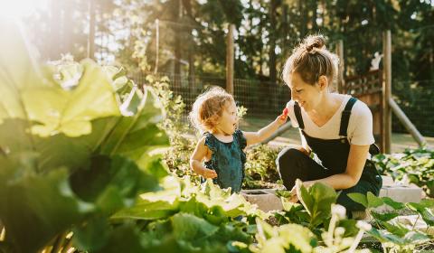 Eat Local: Grow your Vegetables at Home