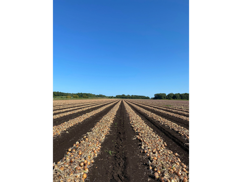 CHOIX_Agro_Ariel Blier_Photo 1_0.jpeg