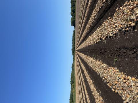 CHOIX_Agro_Ariel Blier_Photo 1