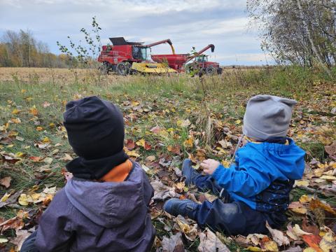 CHOIX_Agro_Jézabel Lavoie_Photo 2